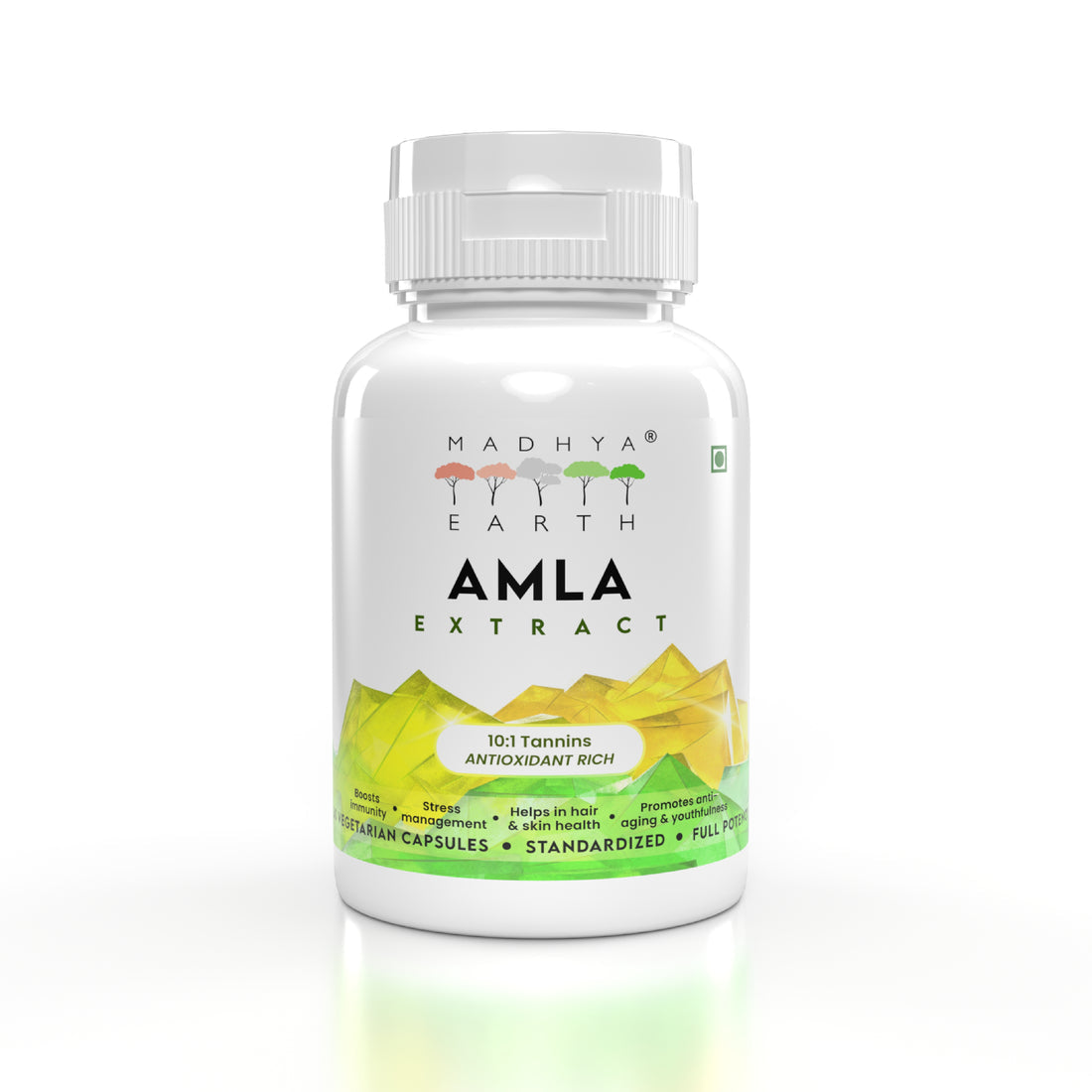 MADHYA EARTH AMLA EXTRACT TABLETS