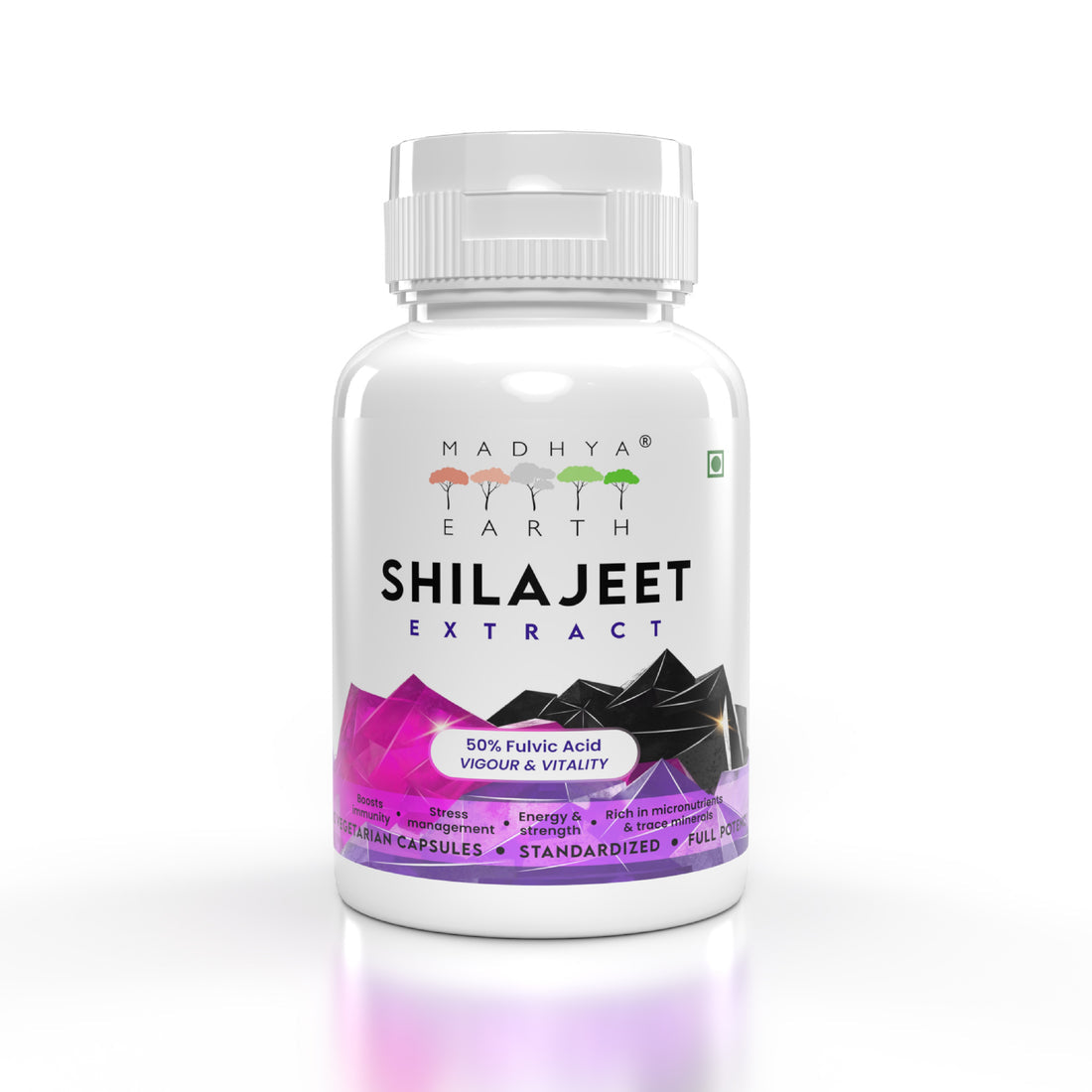 MADHYA EARTH SHILAJEET EXTRACT TABLETS