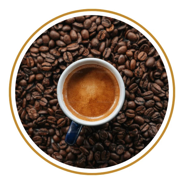 Assorted Instant Coffee Jars and Sachets – Premium Instant Coffees at Amiri Foods