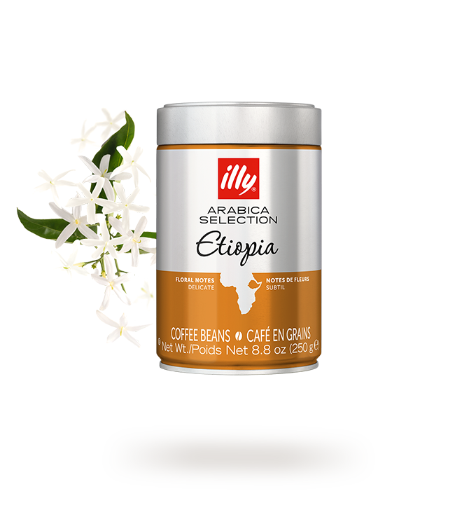 ILLY ETIOPIA COFFEE BEANS