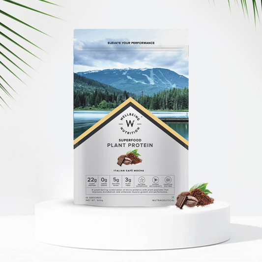 WELLBEING NUTRITION SUPERFOOD PLANT PROTEIN IN ITALIAN CAFE MOCHA